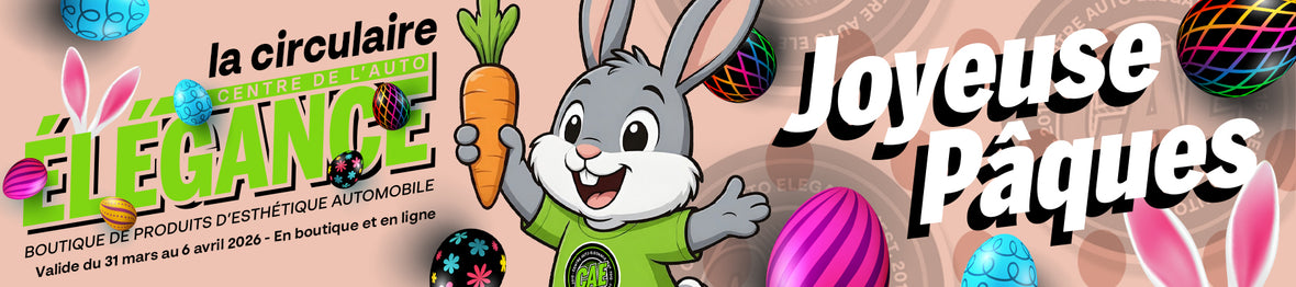 Cae2026 c01 paques banniere01 frs