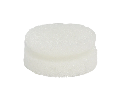 P21S - Éponge de remplacement