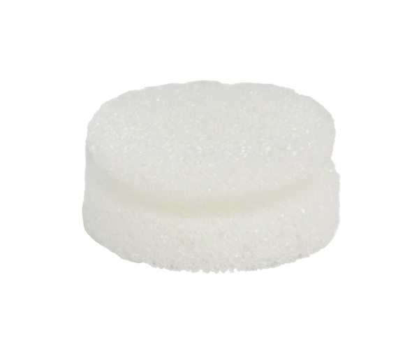 P21S - Éponge de remplacement