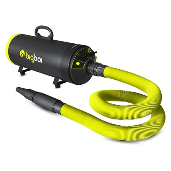 BIGBOI - BlowR Mini Plus (Séchoir pour voiture)