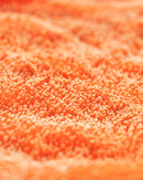 CARPRO - DHydrate BOLD (Microfibre de séchage)-2
