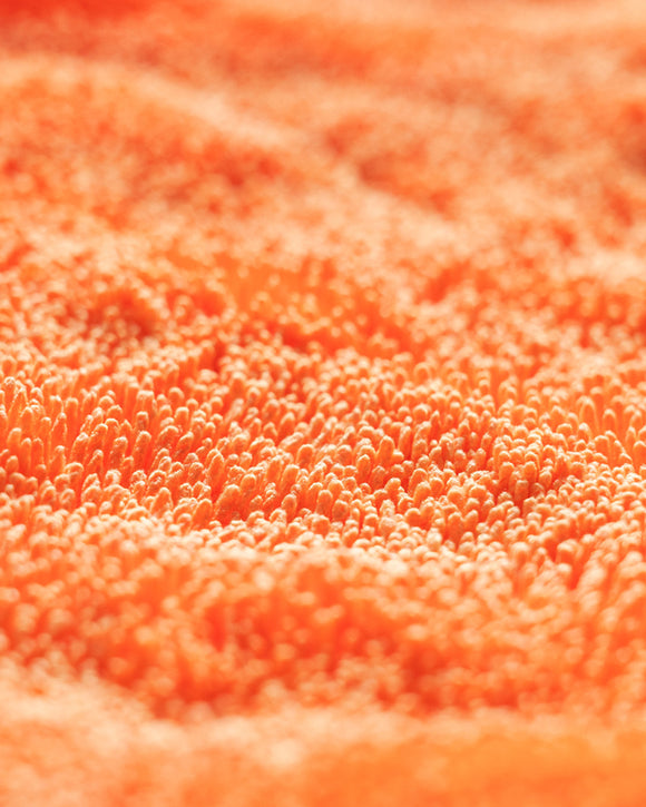 CARPRO - DHydrate BOLD (Microfibre de séchage)