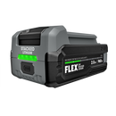 FLEX - Pile au Lithium 24V-1