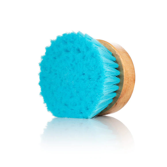 THE RAG COMPANY - Ultra Utility Brush (Brosse tout-usage)
